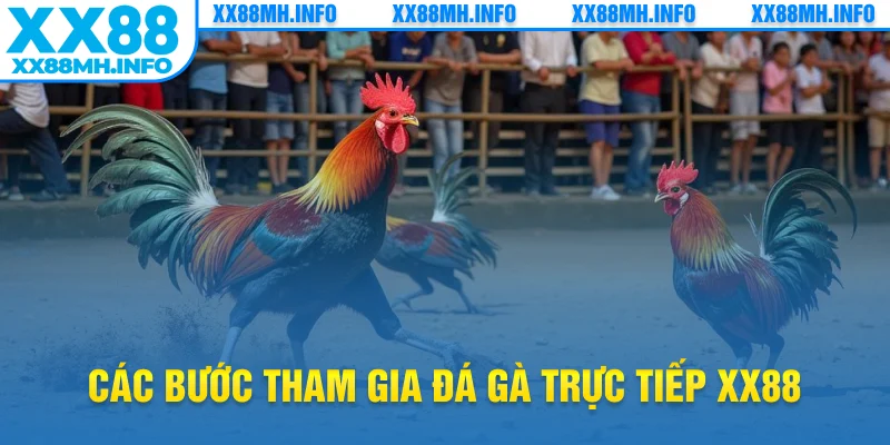 Các bước tham gia đá gà trực tiếp XX88