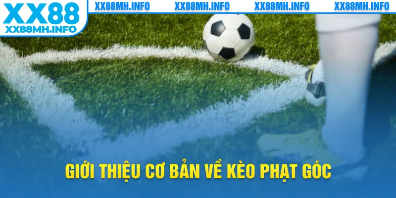 Giới thiệu cơ bản về kèo phạt góc
