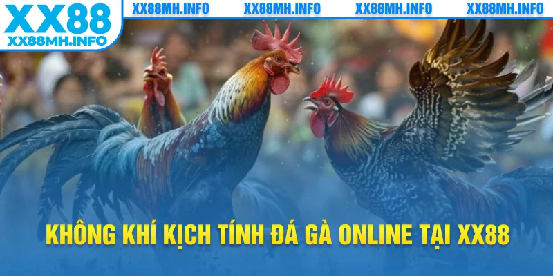 Không khí kịch tính đá gà online tại XX88
