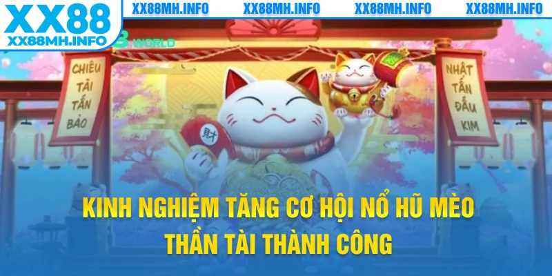 Kinh nghiệm tăng cơ hội nổ hũ mèo Thần Tài thành công