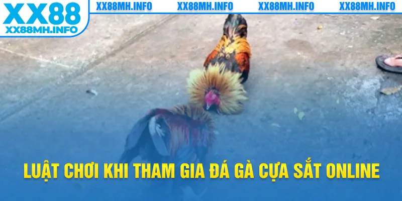 Luật chơi khi tham gia đá gà cựa sắt online