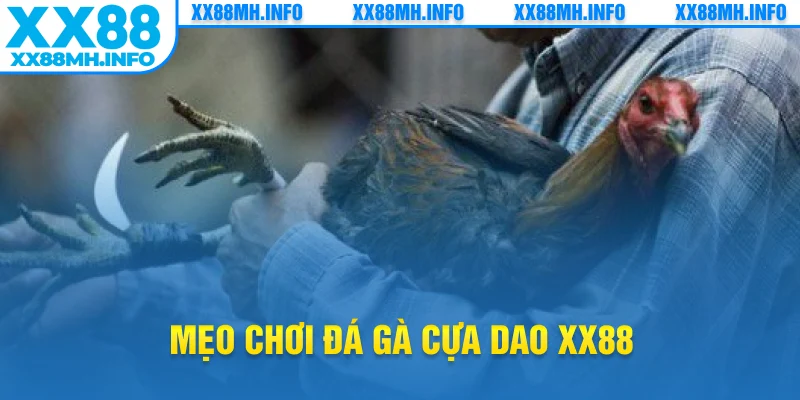 Mẹo chơi đá gà cựa dao XX88