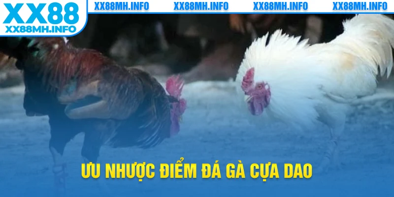 Ưu nhược điểm đá gà cựa dao